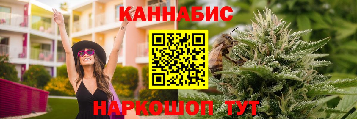 Конопля гибрид Фрязино